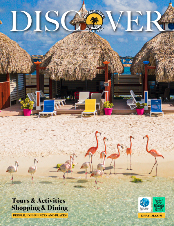 de-palm-island-snorkeling-y-parque-acu-tico-en-de-palm-aruba