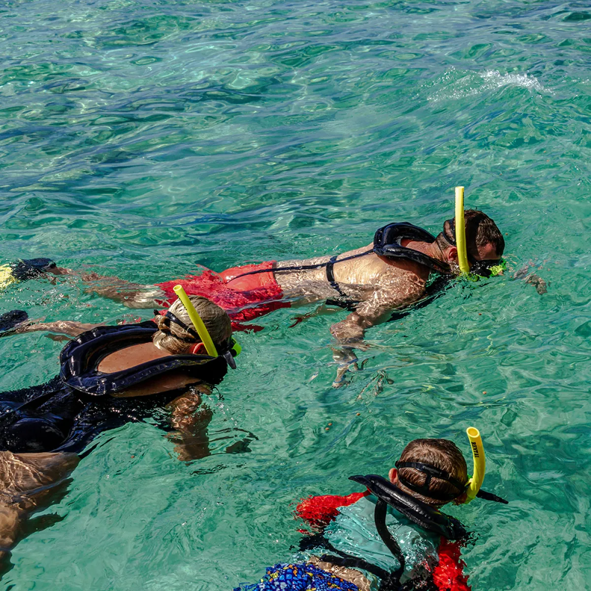 Snorkel at De Palm Island