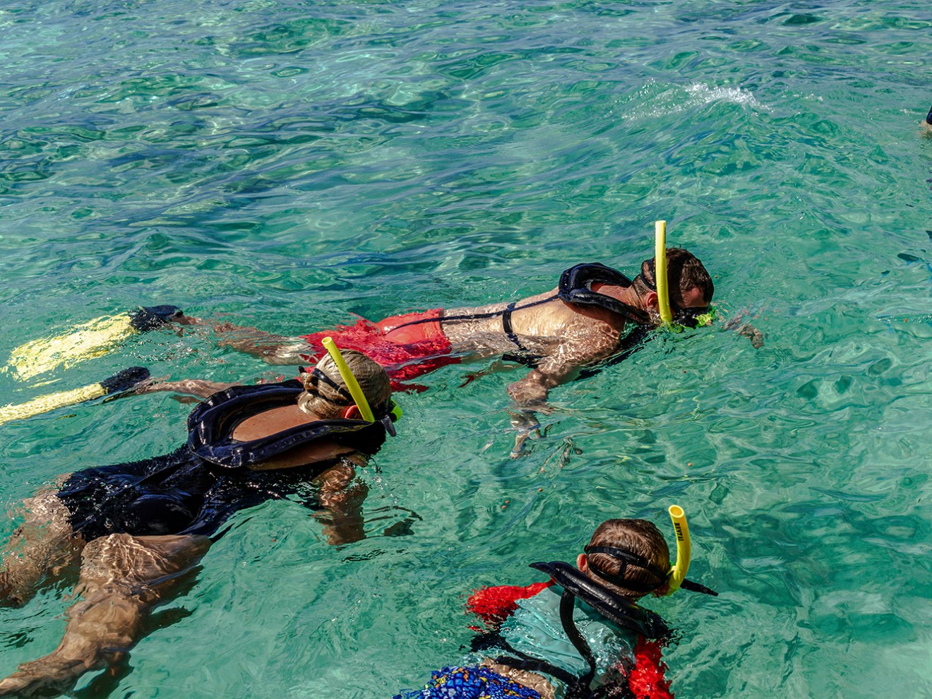 Snorkel at De Palm Island