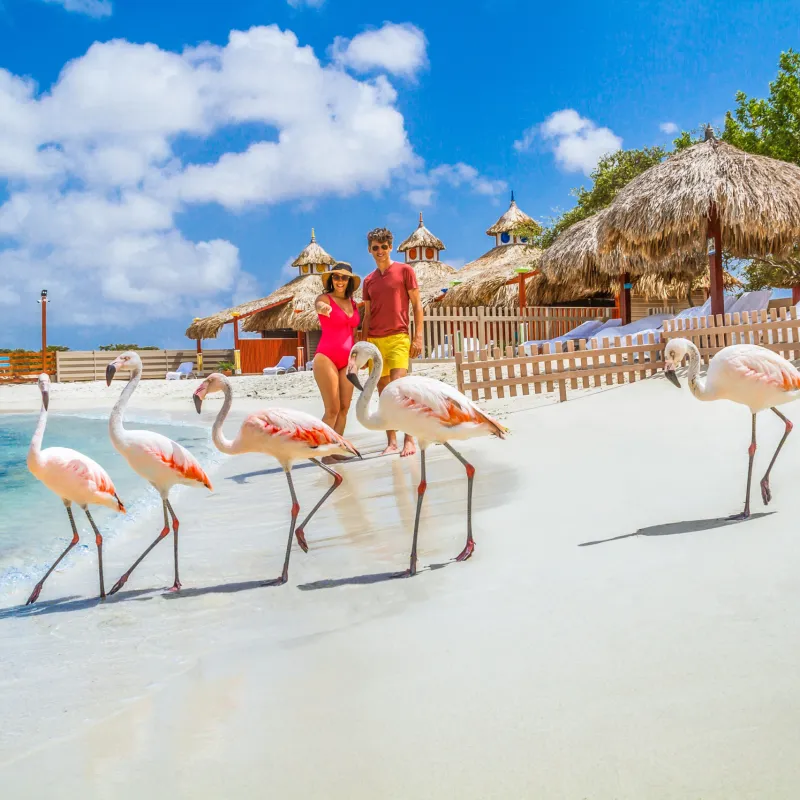 a group of people on a beach