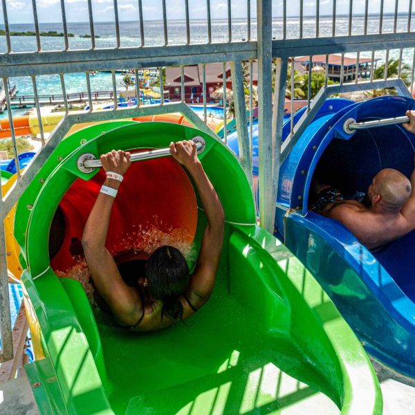 a close up of a green fence