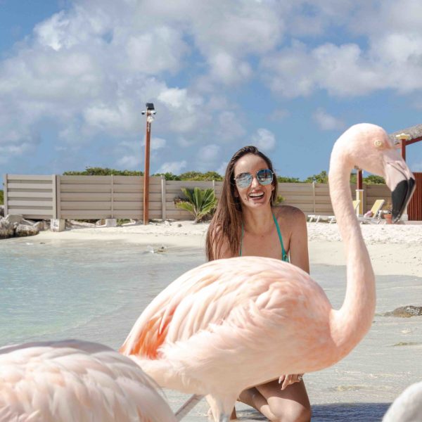 a bird sitting on top of a body of water