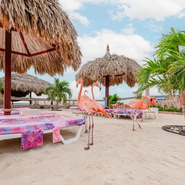 Beach with flamingo statues, palm trees, and thatched umbrellas on sandy ground.