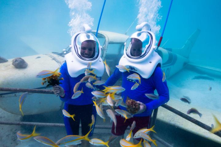 a group of people swimming in the water