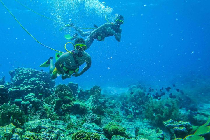 a person swimming in the water