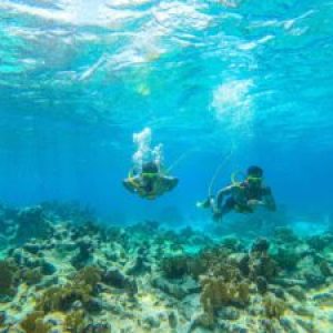 underwater view of the water