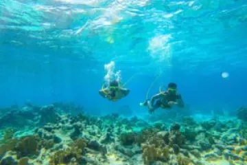 underwater view of the water