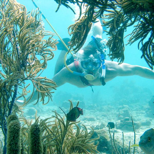 a statue of a person in a swimming pool