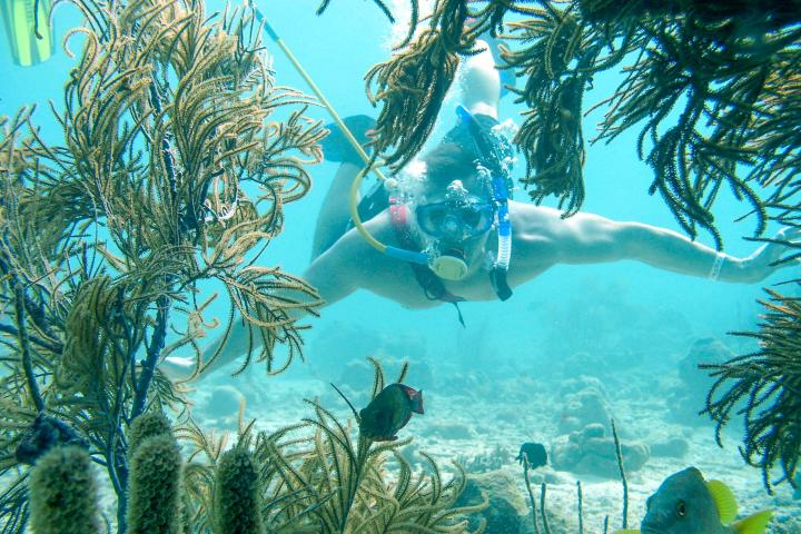 a statue of a person in a swimming pool