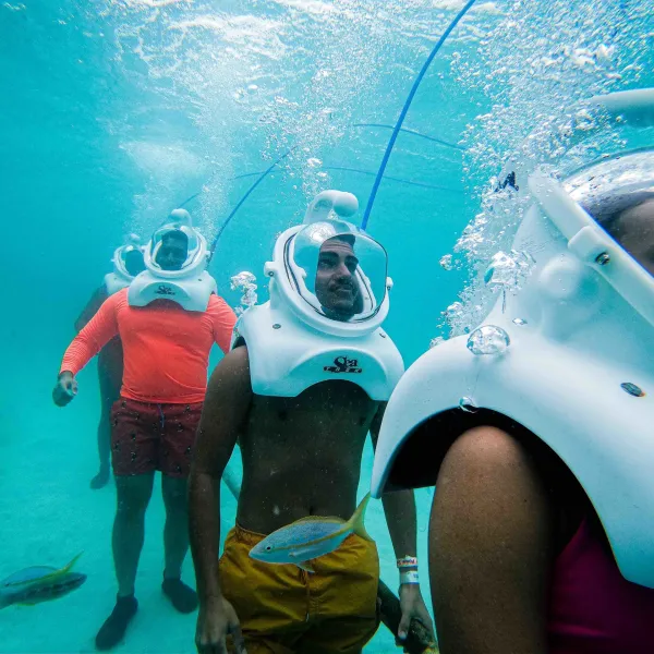 a person swimming in the water
