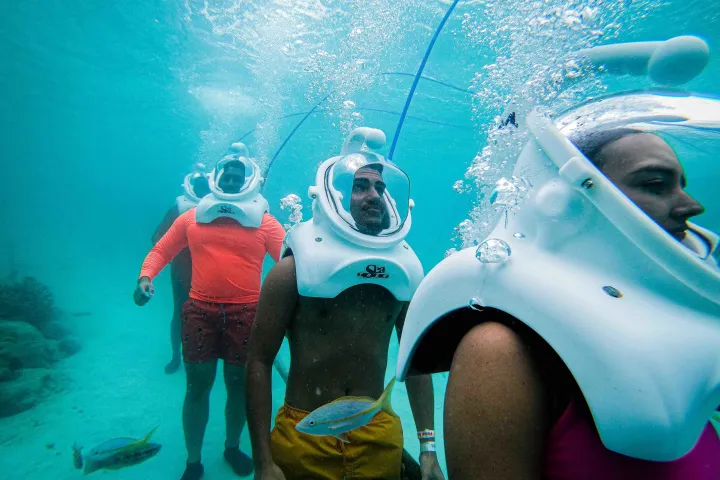a person swimming in the water