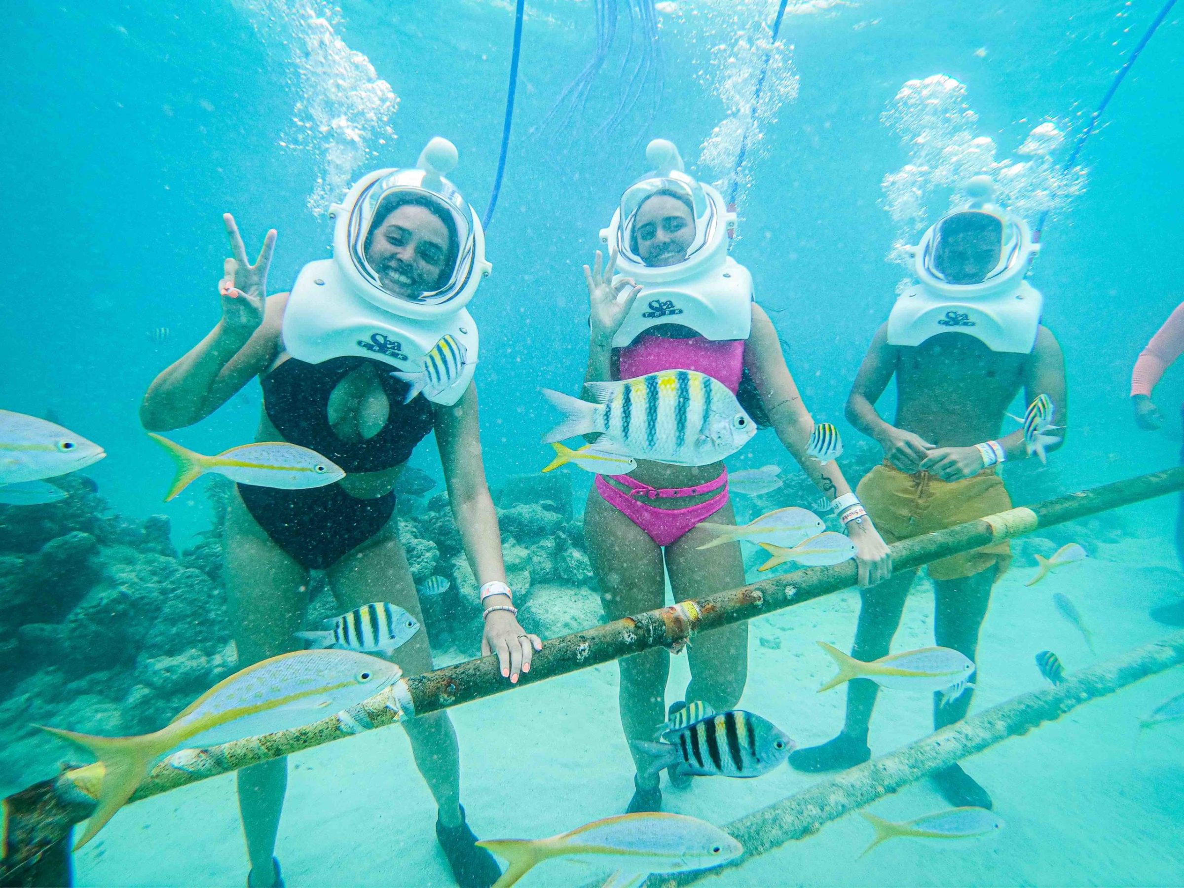 a group of people swimming in the water