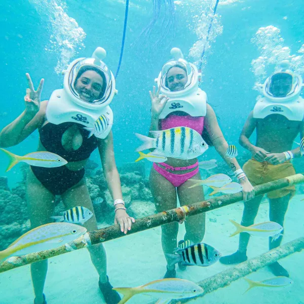 a group of people swimming in the water