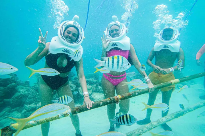 a group of people swimming in the water