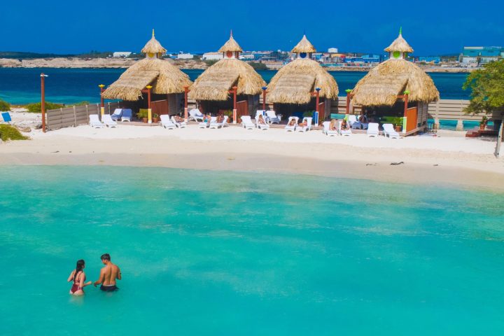 a group of people swimming in a pool of water