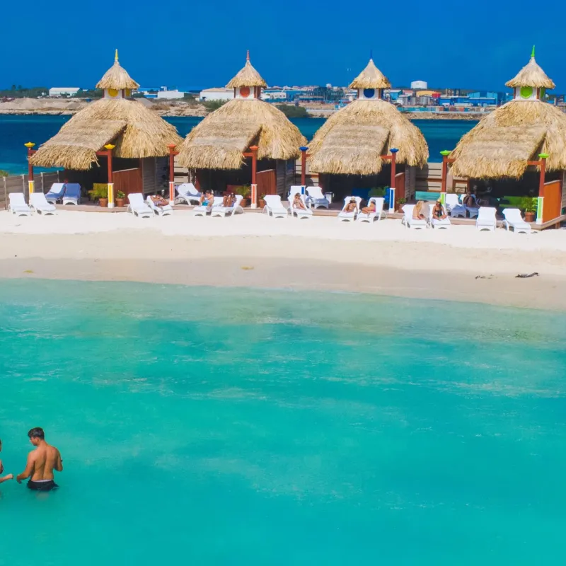 a group of people swimming in a pool of water
