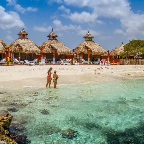 a group of people on a beach