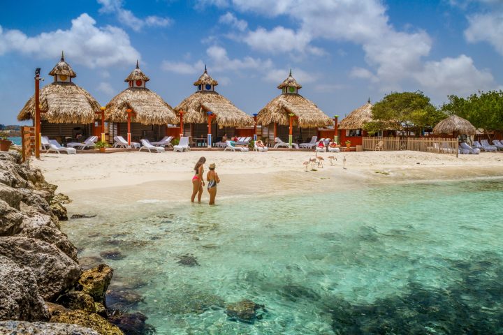 a group of people on a beach