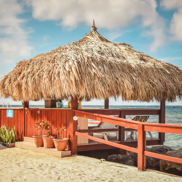 a row of wooden benches sitting on top of a sandy beach