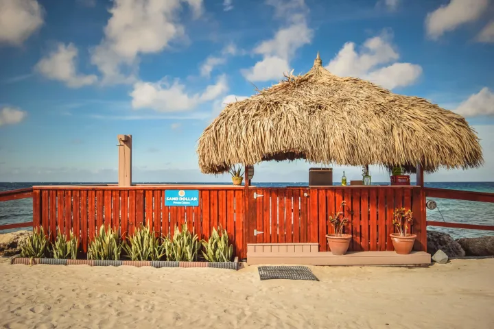 an umbrella sitting on top of a sandy beach