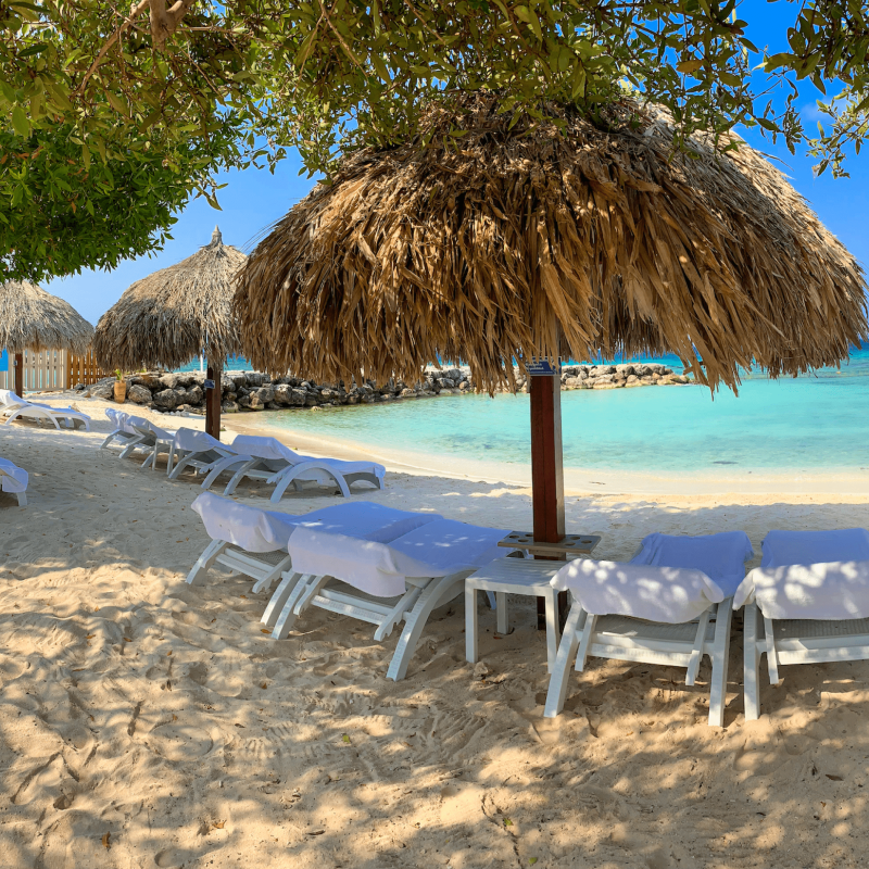 a group of lawn chairs sitting on top of a sandy beach