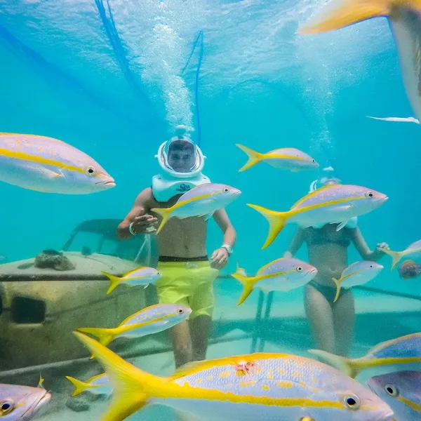 a group of blue water