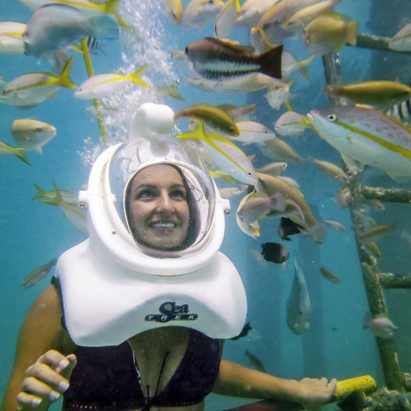 a person swimming in the water