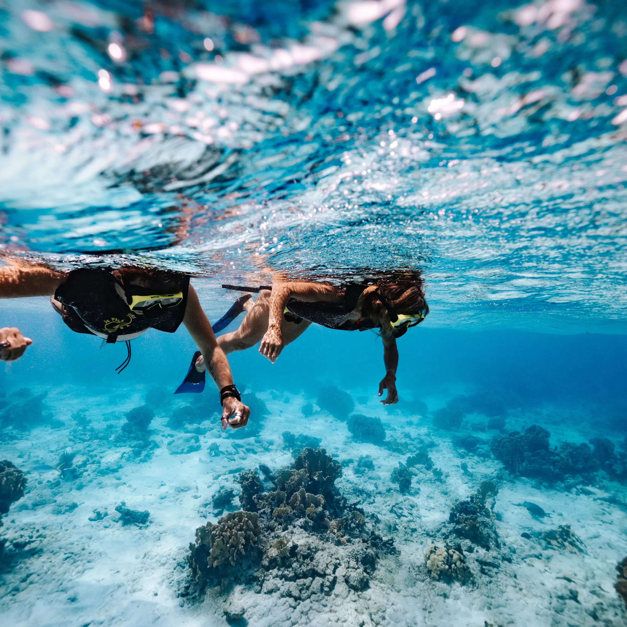 Two people snorkeling underwater over coral reefs in clear blue water.