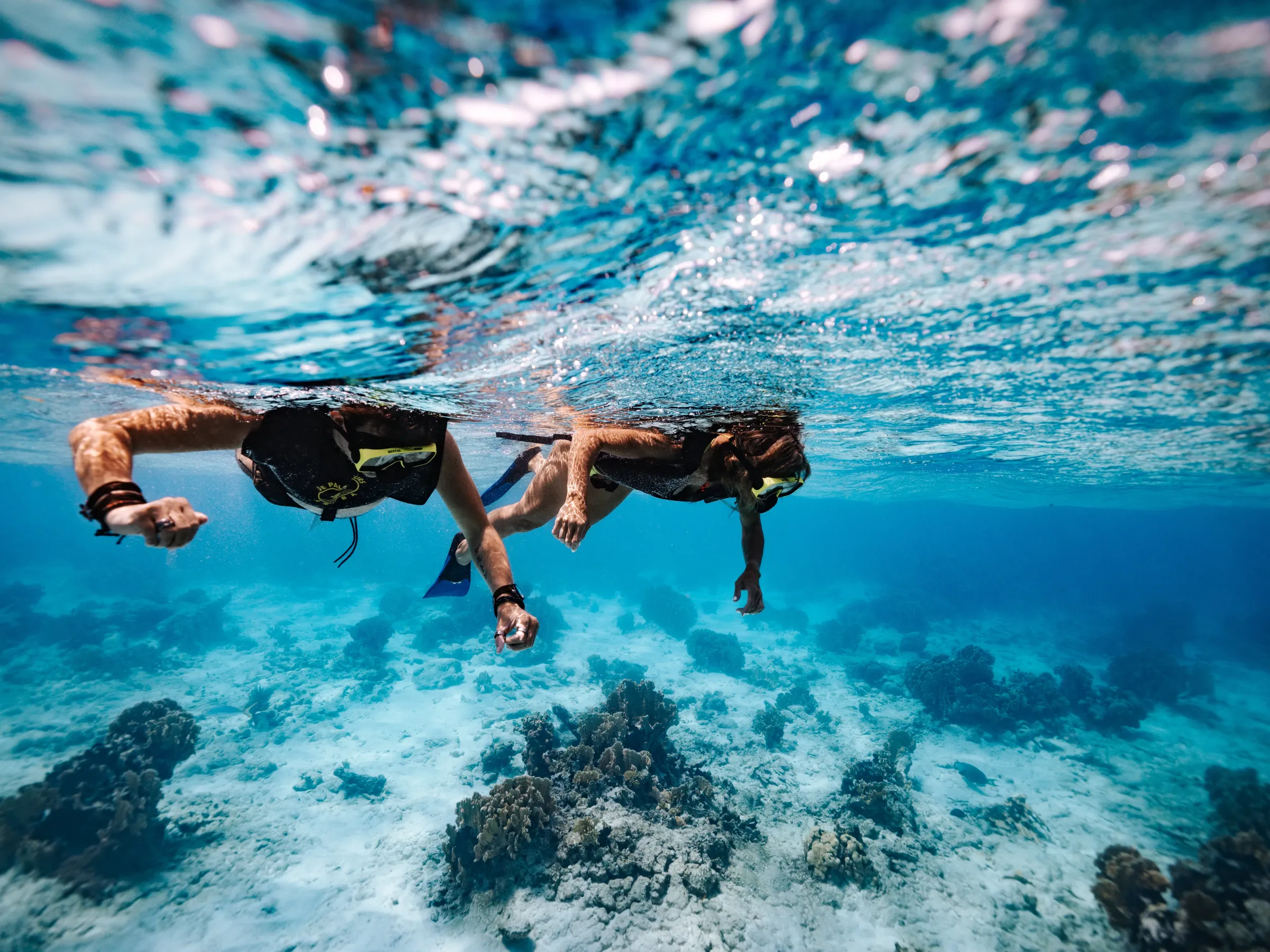 Two people snorkeling underwater over coral reefs in clear blue water.