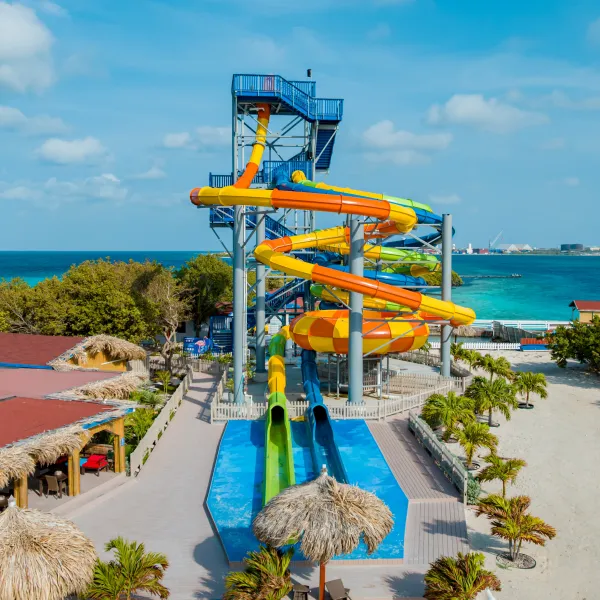 Colorful waterslide by the beach with palm trees and ocean view.