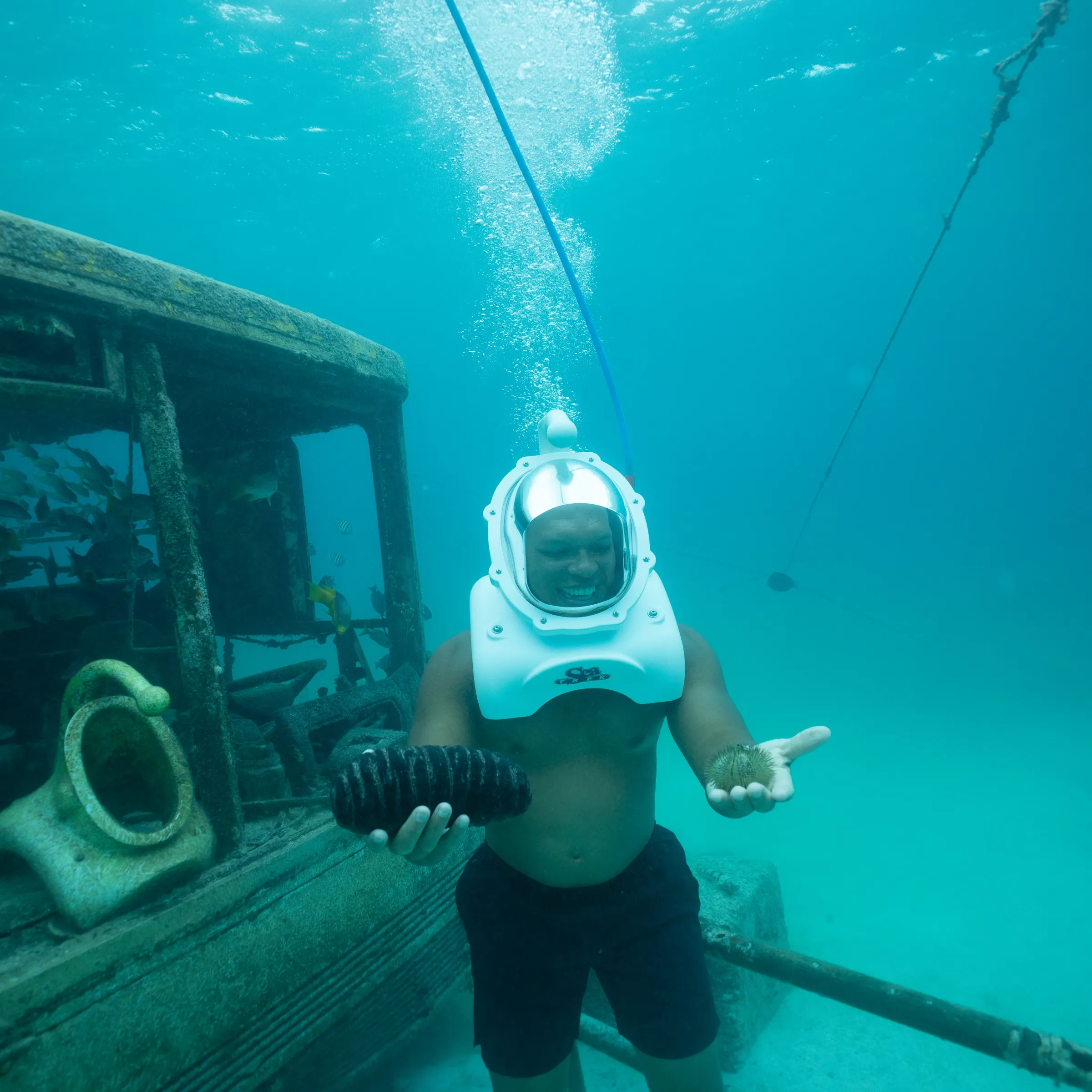 Person underwater with helmet holding sea cucumber, near submerged vehicle.