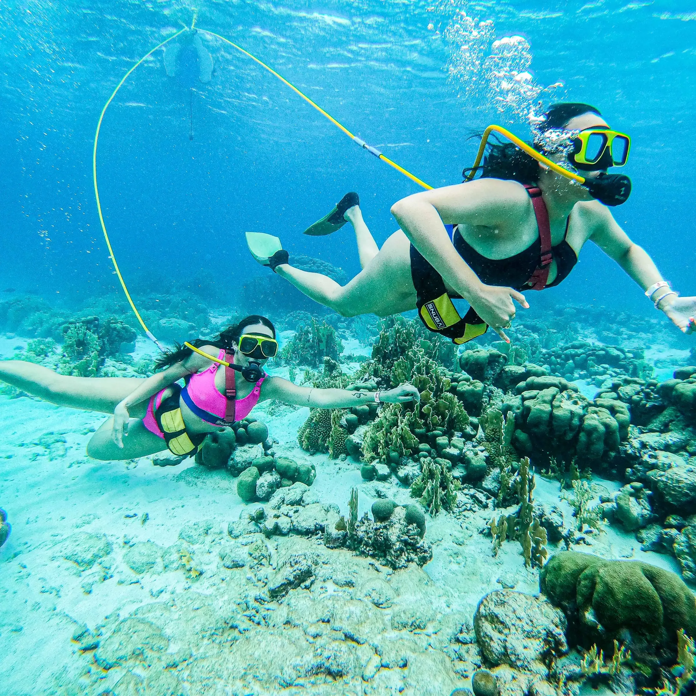 Two people snorkeling underwater near coral reefs, using face masks and snorkels.