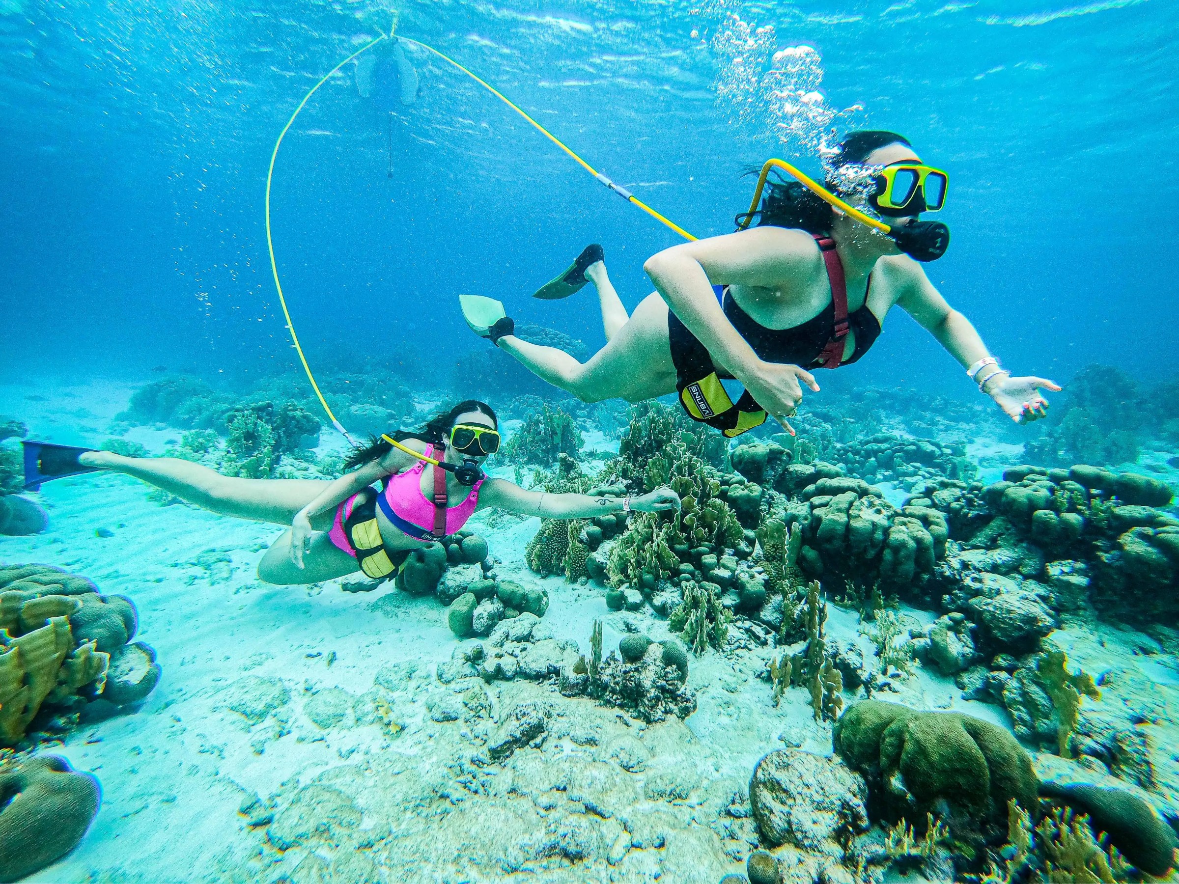 Two people snorkeling underwater near coral reefs, using face masks and snorkels.