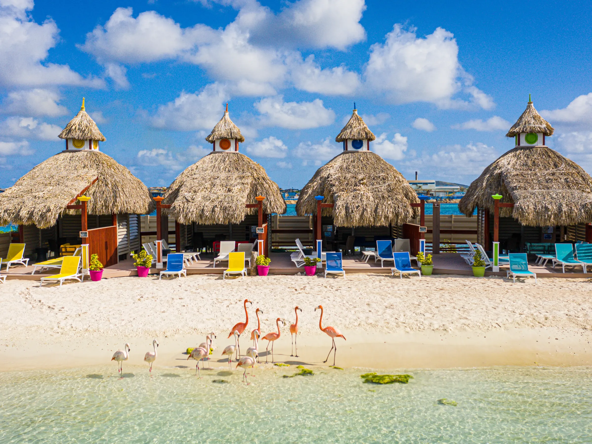 Four thatched huts on a beach with chairs and flamingos nearby.