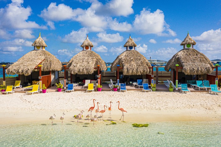 Four thatched huts on a beach with chairs and flamingos nearby.